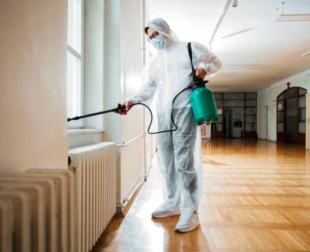 Services anti-nuisibles Apex Parasites à Villejuif (94)
